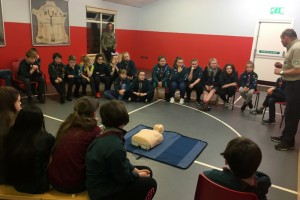 Scouts Emergency Aid_2017_3