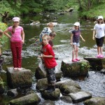 Cubs have fun in the river