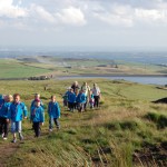 Beavers Visit Scout Moor Wind Farm