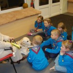 guide-dog-glennie-beavers-2