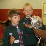 Turbary Owls