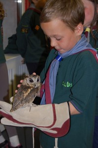 North Wales Bird Trust