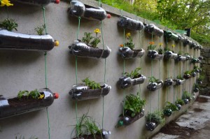 Grey Pack Vertical Garden