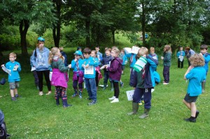 Beavers Bug Hunt