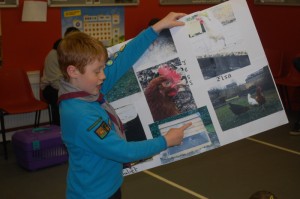 Beavers (Purple) Animal Show & Tell_2