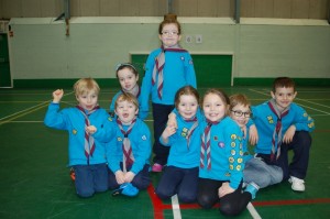Beavers District Curling Competition_2015_3