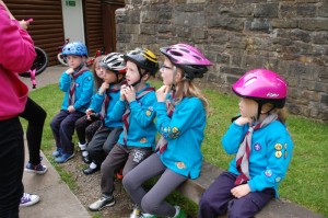 Beavers_Grey_Cycling_Activity_Badge_2015_3