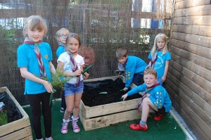 Beavers_Purple_Gardener_Activity_Badge_4