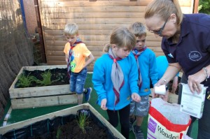 Beavers_Purple_Gardener_Activity_Badge_7