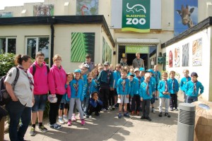 District Beavers Blackpool Zoo Trip