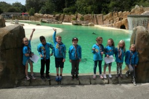 Beavers_Blackpool Zoo_2015_12