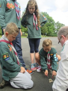 County_Cub_Skills_Day_2015_4