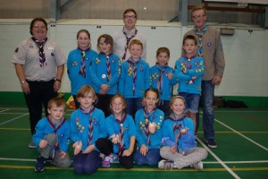 District Beaver Scout Akeema Shield Competition