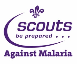Grey_Pack_Scouts_Against_Malaria_12