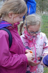 Grey_Pack_Orienteering_2016_7