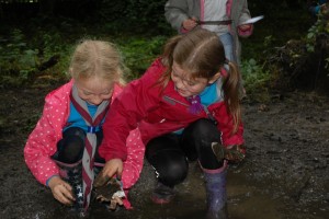 Beavers Outdoor Activity Day_2016_2