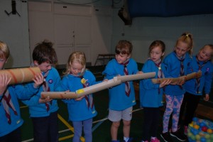 beavers_akeema_shield_2016_11