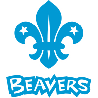 Beaver Scouts