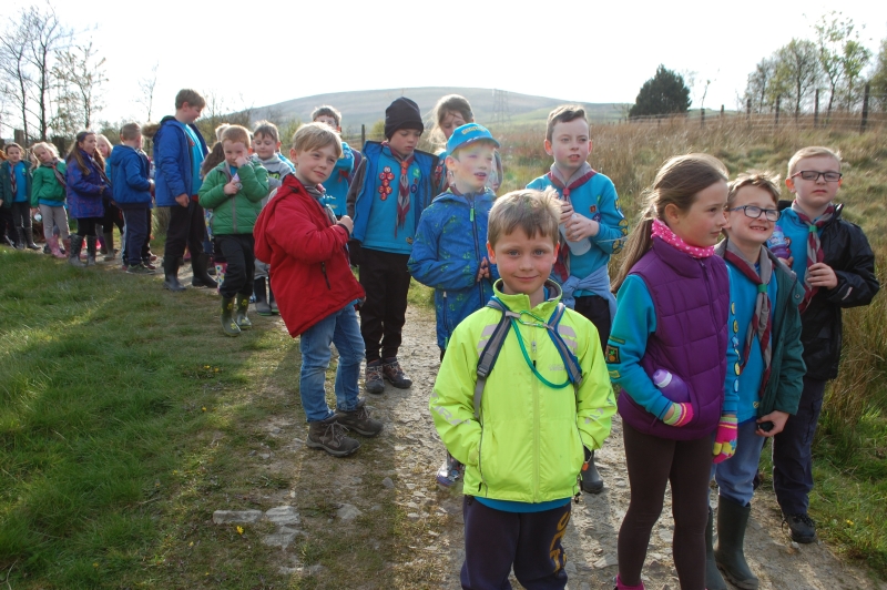 Beavers Hike to the Singing Ringing Tree