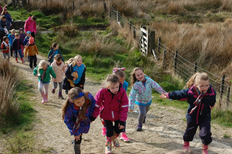 Beavers Hike to the Singing Ringing Tree