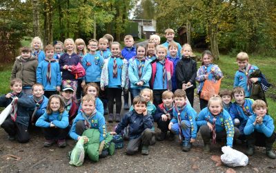 Rossendale District Beavers Outdoor Activity Day 2017