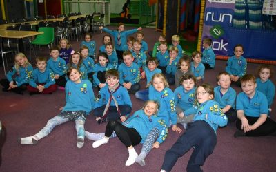 Beavers Runamok