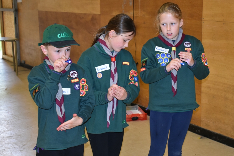 County Akela Trophy & BP Trophy_2026_8 County Akela Trophy & BP Trophy 2026