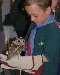 North Wales Bird Trust
